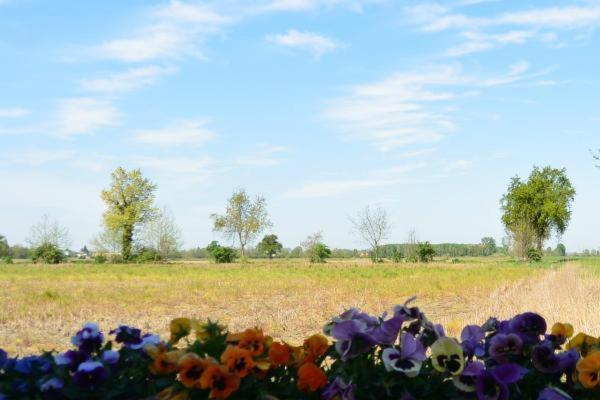 Gasthaus Carrobbio Bed&Breakfast Cremona Exterior foto